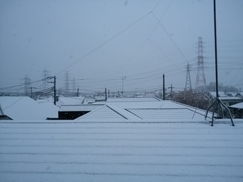 3月29日の雪.jpg