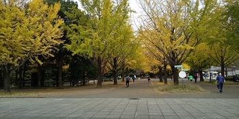 公園.JPG