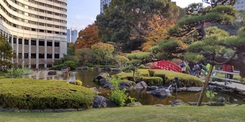 日本庭園４.jpg